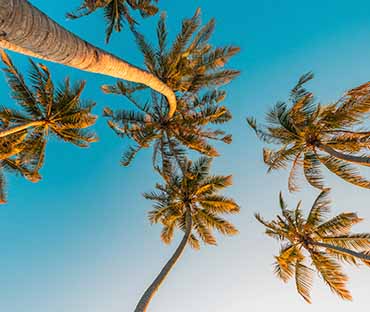 Panoramic meditation island beach