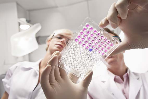 genetic engineers holding a mocrotiter plate