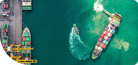 Export and import business