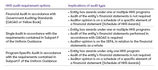 hhs audit requirement options chart