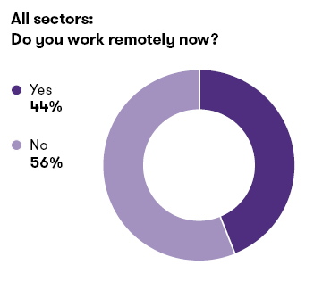 All sectors: Do you work remotely now?