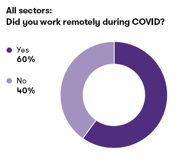 Chart and Graph: Did you work remotely during COVID?